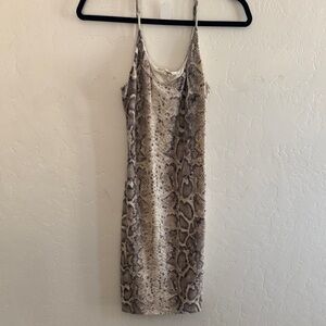 Bear Dance Animal Print Mini Dress